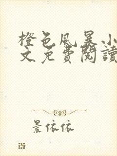 橙色风暴小说全文免费阅读无弹窗封面