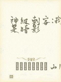 神级刺客:我即是暗影