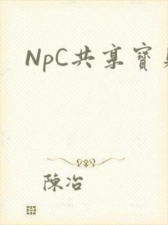 NpC共享宝贝