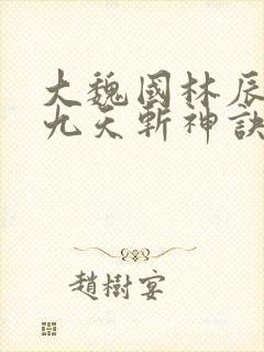 大魏国林辰小说九天斩神诀笔趣阁