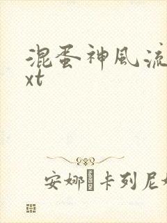 混蛋神风流史txt