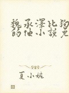 魏承泽比狗还狗的他小说免费阅读封面