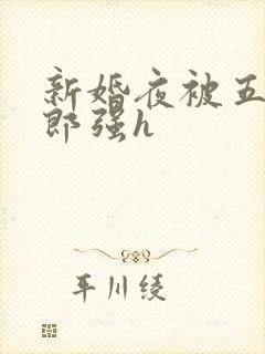 新婚夜被五个伴郎强h封面