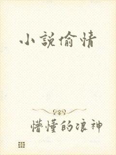 小说偷情