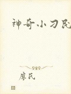神奇小刁民