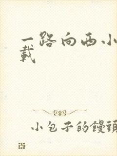 一路向西小说下载封面