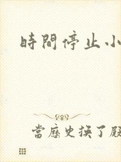 时间停止小说