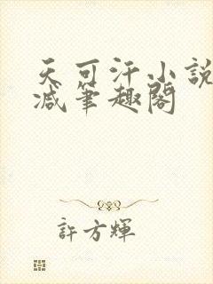 天可汗小说无删减笔趣阁