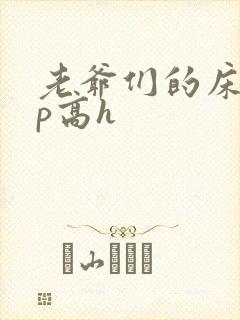 老爷们的床奴np高h