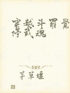 穿越斗罗觉醒时停武魂