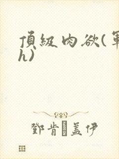 顶级肉欲(军高h)