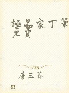 极品家丁笔趣阁免费封面