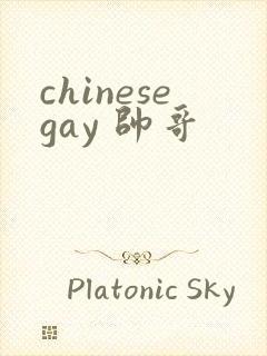 chinesegay 帅哥