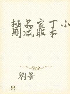 极品家丁小说无删减版本