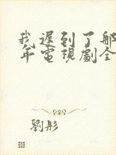 我迟到了那么多年电视剧全集免费播放