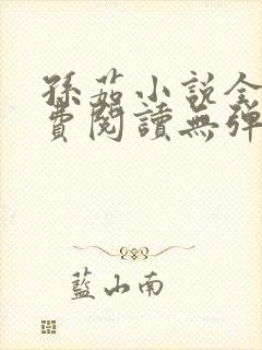 孙茹小说全文免费阅读无弹窗