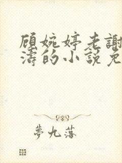 顾婉婷老谢,谢涛的小说免费阅读笔趣阁