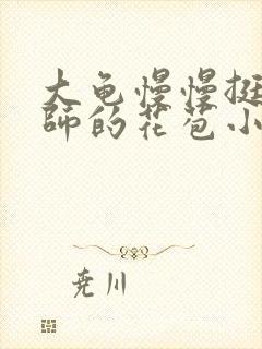 大龟慢慢挺进老师的花苞小说封面