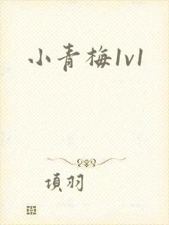 小青梅1v1封面