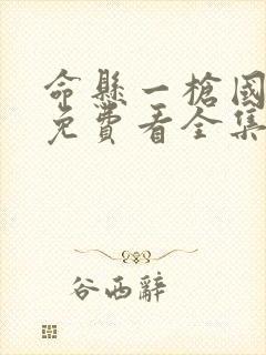 命悬一枪国语版免费看全集