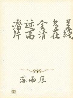 潜迹金多美纪录片高清在线观看