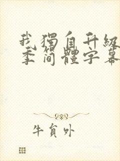 我独自升级第二季简体字幕在线观看