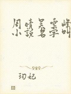 周晴吴云峰李磊小说名字叫什么