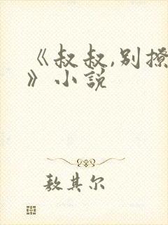 《叔叔,别撩我》小说