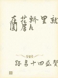 在花轿里就开始圆房h