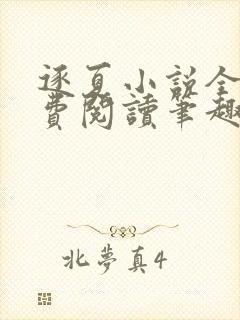 逐夏小说全文免费阅读笔趣阁无弹窗