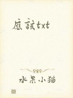 应该txt