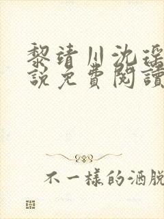 黎靖川沈瑶初小说免费阅读最新章节