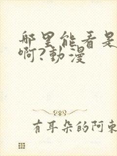 哪里能看是王者啊?动漫