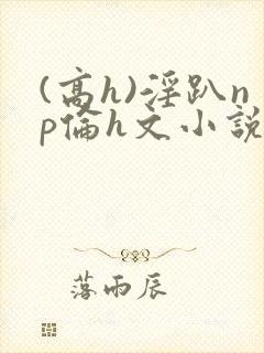 (高h)淫趴np伦h文小说