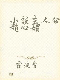 小说主人公陈斌赵心媚封面