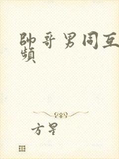 帅哥男同互操视频封面