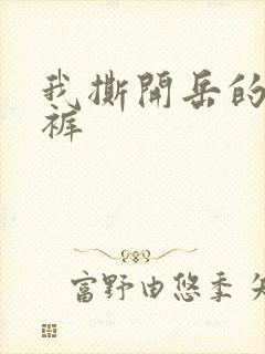 我撕开岳的丁字裤封面