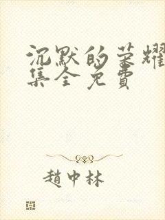 沉默的荣耀38集全免费封面