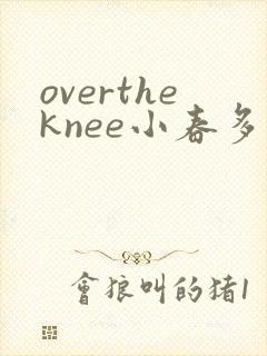 overtheknee小春多梦阅读笔趣阁