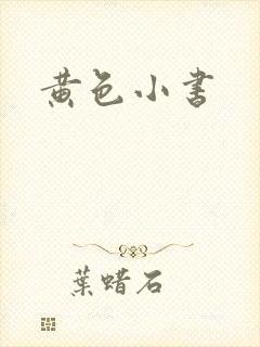 黄色小书