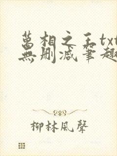 万相之王txt无删减笔趣阁