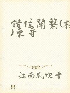 错位关系(校园)东哥封面