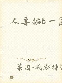 人妻插b一区
