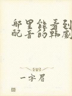 哪里能看到国语配音的韩剧