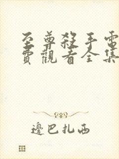 至尊杀手电影免费观看全集