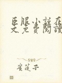 臣服小说在线全文免费阅读笔趣阁无弹窗封面