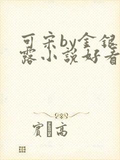 可宋by金银花露小说好看吗