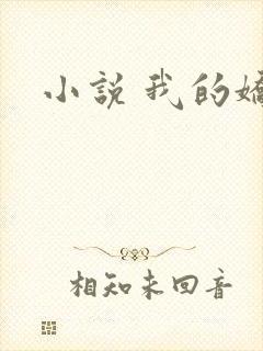 小说 我的娇妻封面