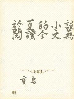 于夏的小说免费阅读全文无弹窗封面