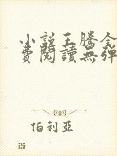 小说王腾全文免费阅读无弹窗